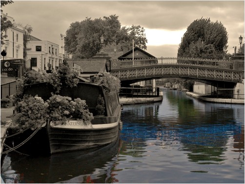 waterside reflections