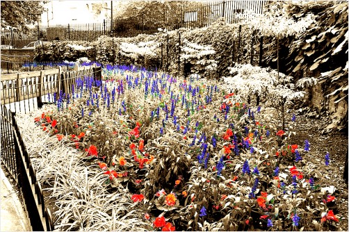 RGB flower bed