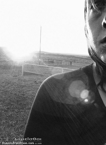 long winter sun