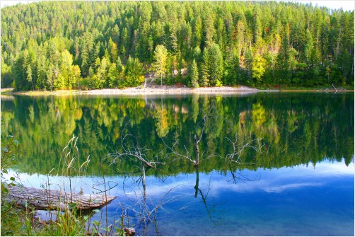 Reflections on the Lake in WA, another view