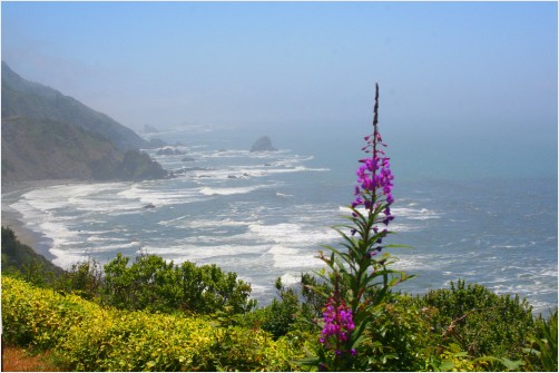 Beautiful view of the Pacific Ocean