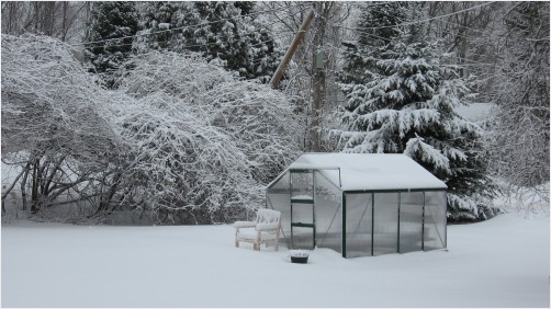 Winter Greenhouse