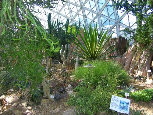 The Desert Dome