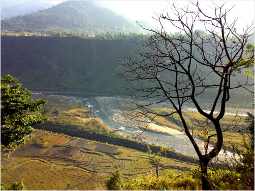 River Jaldhaka