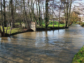 river in spring - rivière au printemps