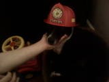 Firefighting dog