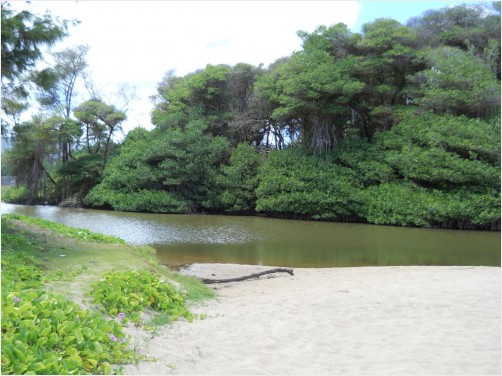 River at Hukilau