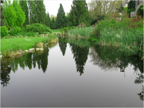 Sutcliffe Park Pond