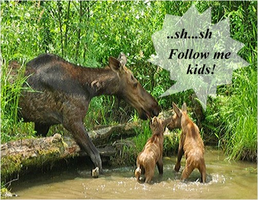 Follow me, Kids!