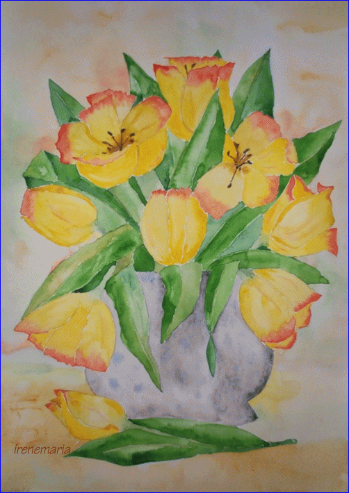 Tulips