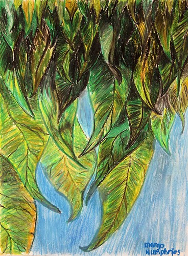 leaves