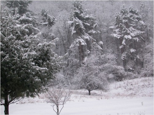 Mountains in Winter