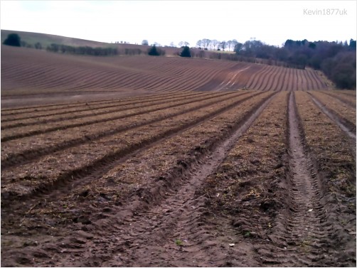 Farmers field