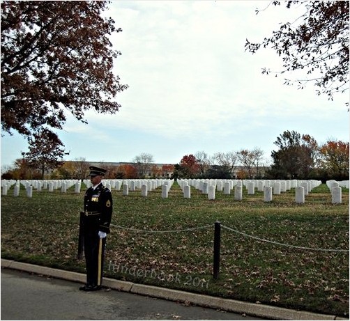 Guard at Arlington National Cemetery