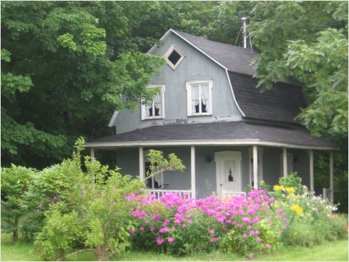 House in the trees