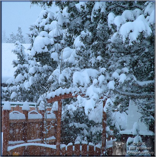 Snow Art...