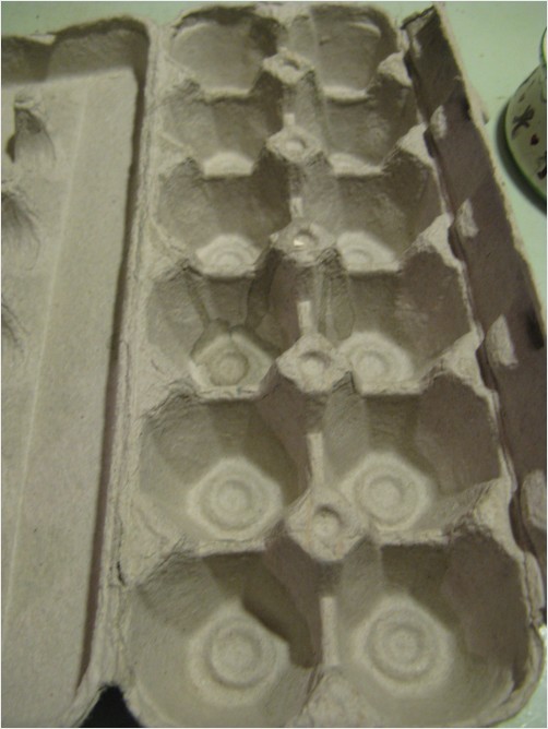 paper egg boxes