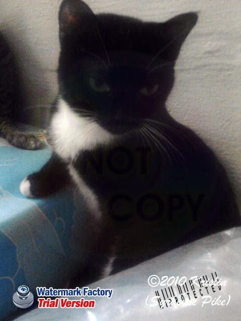 Look into my eyes...