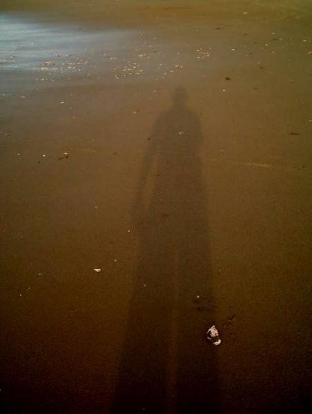 Lone Shadow