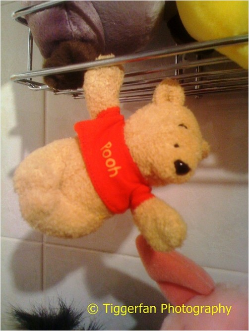 Pooh is Hanging Out