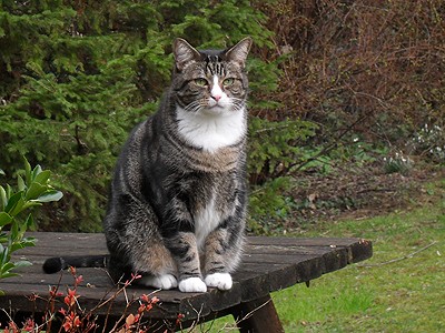Stephen on a picnic table